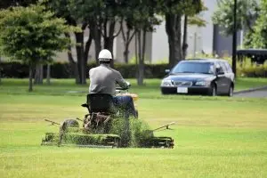 芝生メンテナンス作業