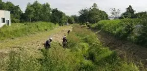 草刈り・除草処理で所有地や空き地の雑草対策 | 北海道千歳市 北斗サービス