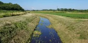 草刈り・除草処理で所有地や空き地の雑草対策 | 北海道千歳市 北斗サービス